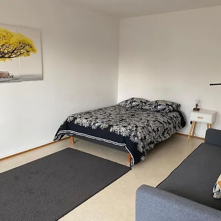 35 - Centre Ville, Proche Bale Saint-Louis (Haut-Rhin)